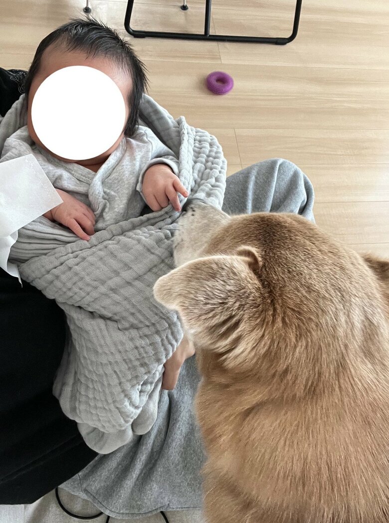 赤ちゃんに興味津々（提供：あさぎさん）