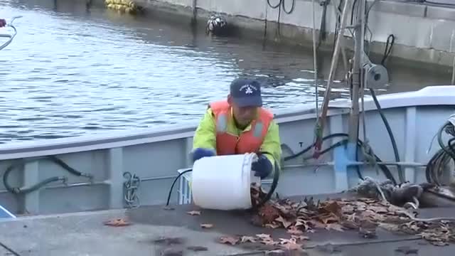 気象庁「1週間ほど同程度の地震に注意」　岩手県沿岸に一時津波注意報　
