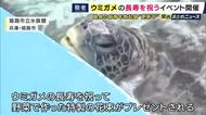 「125年ぐらい（長生きしてほしい）」推定62歳のご長寿ウミガメに敬老の日をお祝い　野菜で作った特製花束を元気にパクリ　姫路の“最長飼育年数記録”更新中のウミガメ