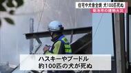 ハスキーやプードル １００匹死ぬ　住宅や犬舎など全焼　菊池市の建物火災【熊本】