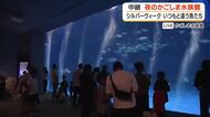 夜のかごしま水族館から生中継　いつもと違う魚たちの姿が見られる！？