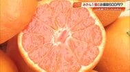「甘さが消えません」高知・山北みかん、条件満たす3%のみに厳選ブランド「柑美甘々」