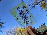 「クリア御朱印」をかざしてSNS映え! 毎月変わるデザインも素敵…札幌諏訪神社に反響を聞いた