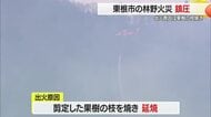 東根市の林野火災…発生から3日で鎮圧　剪定した果樹の枝を焼いていて燃え広がる　山形・東根市
