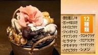 フライドポテト、きのこにアボカド　“ひとつの食材”専門店「一点突破グルメ」が人気　なぜ物価高に強い?専門家「大量仕入れでコスト削減、ニーズの多様化」