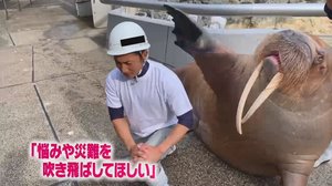 動物園・水族館のユニークな返礼品がスゴイ! コロナ禍で苦境の中 クラウドファンディングに挑戦中