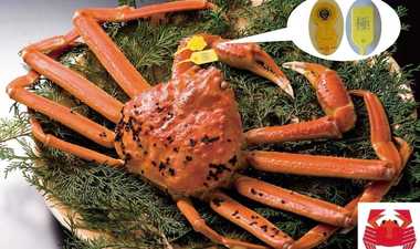 福井県民は「カニの食べ方を学校で習う」らしい…うわさが本当か県に聞いてみた