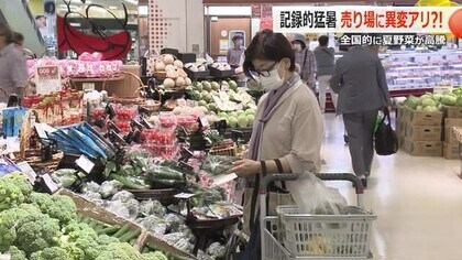 猛暑で全国では野菜価格が高騰も…福井県内は“地場産”の収穫が順調で価格は安定　お盆までは平年並みか