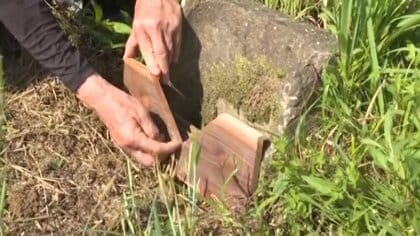 大雨被害軽減へ「田んぼダム」導入　軽コストで設置も簡単…出水期に向け効果は【佐賀発】