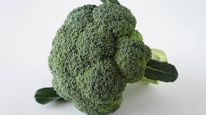 「タンパク質が摂れる野菜」を知っていますか？肉や魚にプラスして効率よく吸収&腸活にも良し！お勧めレシピも