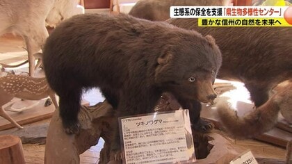 豊かな信州の自然を未来へ　生態系の保全を支援「長野県生物多様センター」開設