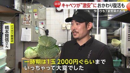 なすキャベツ様　オーダーページ なすキャベツ様 オーダーページ