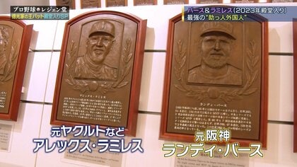 王貞治 野球殿堂入り記念 レリーフ盾 本体のみ 記念品 昭和レトロ 希少 王貞治 野球殿堂入り記念 レリーフ盾 本体のみ 記念品 昭和レトロ 希少