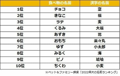 ペットニュースストレージ 22年 犬の名前ランキング を発表 21年にペット保険に新規加入した0歳の犬の名前を大調査