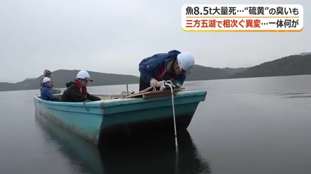 福井県が水質調査を進めている
