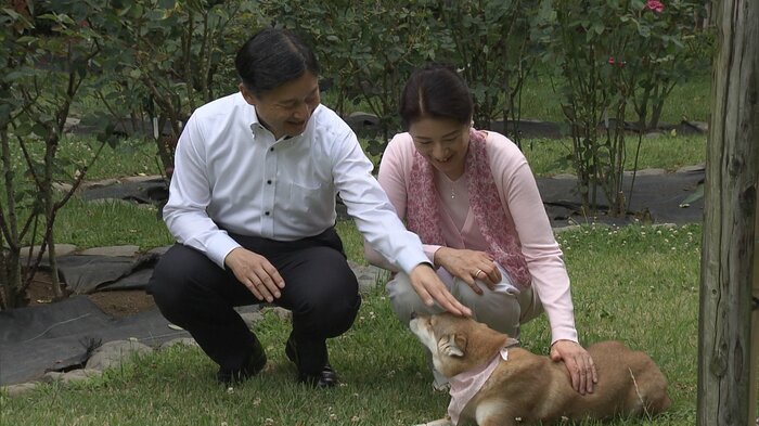 ご成婚25年の映像では両陛下が由莉をなでられた 2018年