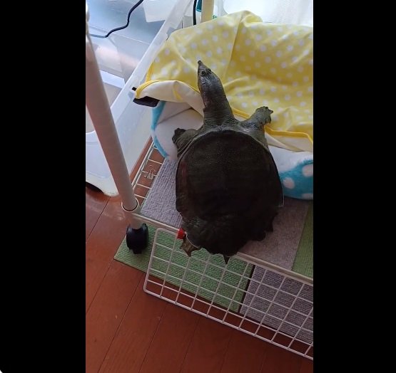 無事帰宅!