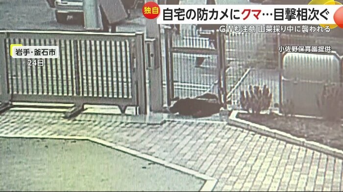 24日に岩手・釜石市に現れたクマは保育園の敷地の中を駆け抜けた