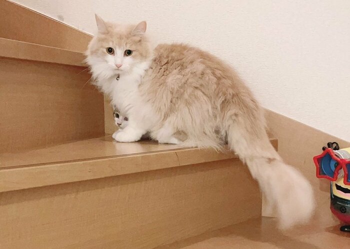 その後の様子