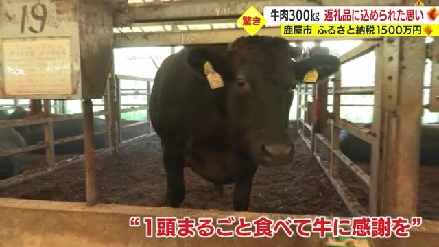 込められた願い「牛たちに感謝を」
