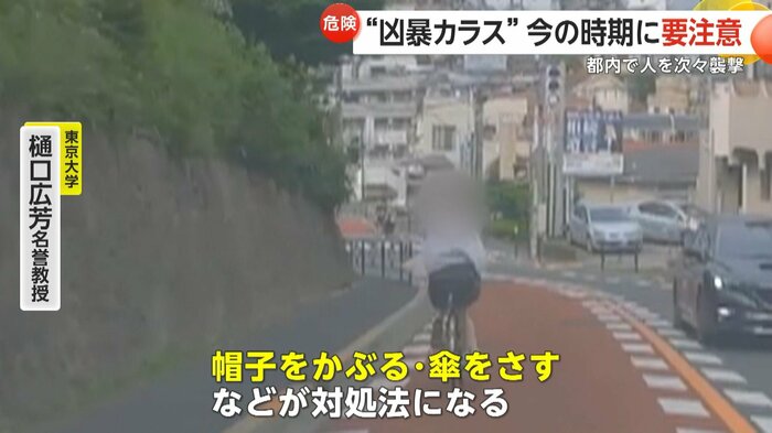 帽子をかぶったり、傘を差すのが対処法となるという