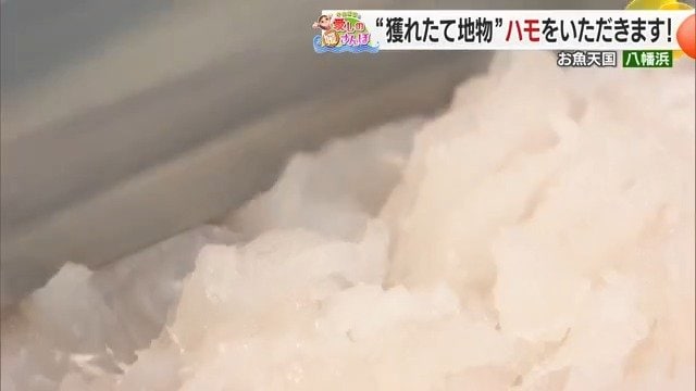 関西で夏の食材として大人気!「ハモ」