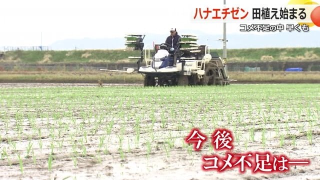 今シーズンの田植えが始まった