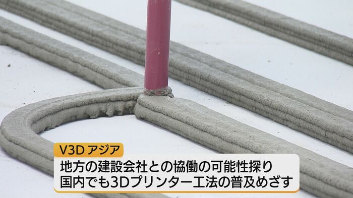 V3D アジアの今後の可能性は