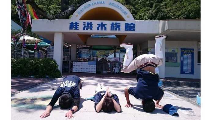 お客が来ないと給料出ない 水族館スタッフの 土下座 ツイートが話題