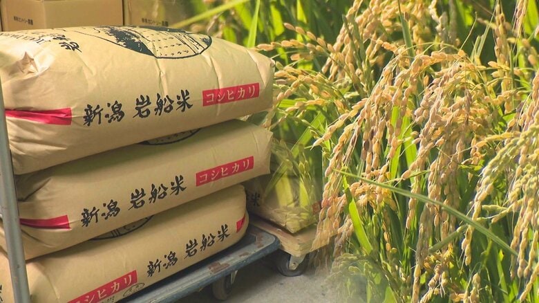 “令和のコメ騒動”生産者側にも届く「コメ不足」の声… JAは農家への“仮渡し金”大幅増額　新米高騰も農家の収入増へ｜FNNプライムオンライン