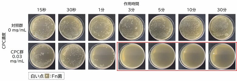 “菌” に着目した口臭ケアで、ドブ臭！？生ごみ臭！？とサヨナラ！～CPCによる口臭原因菌の殺菌効果を検証～