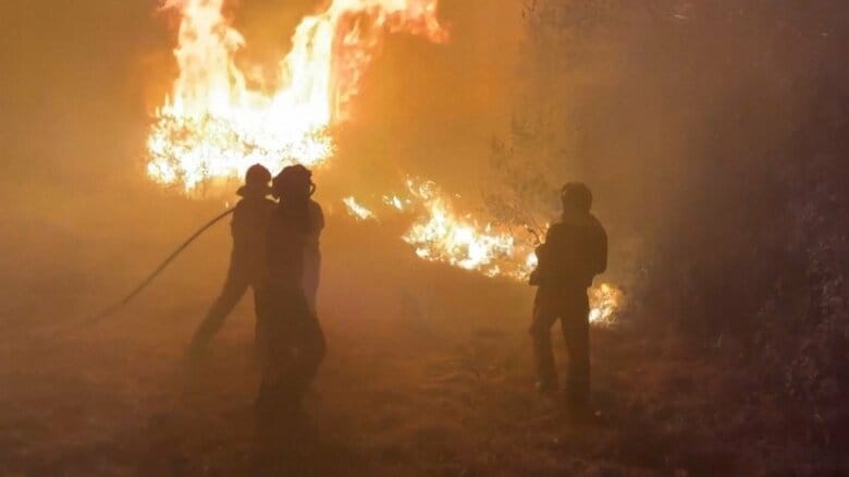 スペイン・ポルトガルで山火事続く　消防士ら6人死亡　スペイン「観測開始以降最悪の被害」｜FNNプライムオンライン
