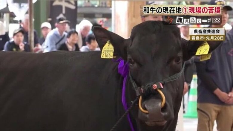 “和牛日本一”連覇も厳しい現状　餌代高騰に国内需要の冷え込み　海外から高評価も生産効率の課題に直面する現実も｜FNNプライムオンライン