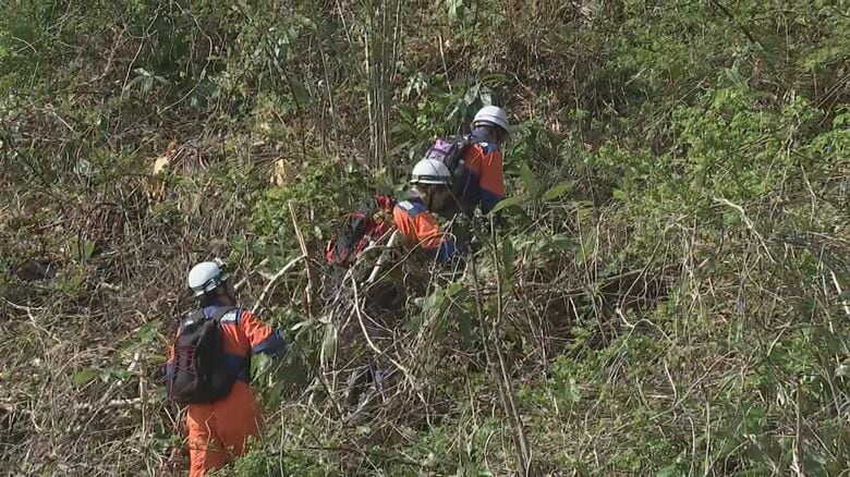 クマが襲撃か　山菜採り69歳女性の遺体発見　顔などに引っかき傷　八幡平市の山林　岩手県｜FNNプライムオンライン