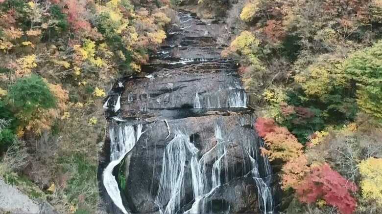 思わず足が止まる…「日本三名瀑」美しい滝がアートに！