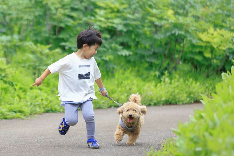 実際に撮影された家族写真(fotowa/mon arome cheri)