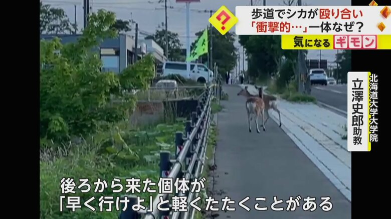 （北海道根室振興局）