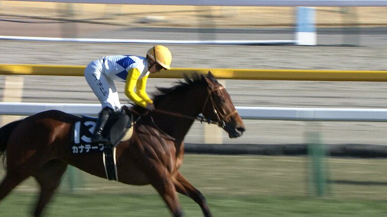 初音Sを制したカナテープ