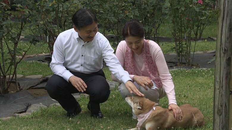 ご成婚25年の映像では両陛下が由莉をなでられた　2018年