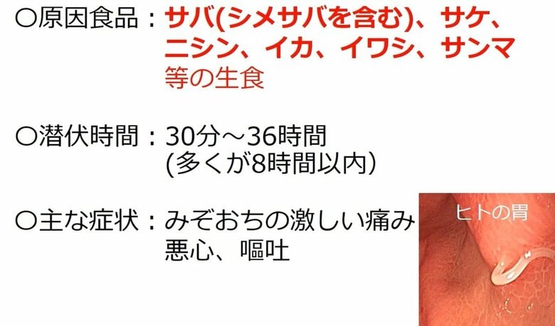 仙台市ホームページより