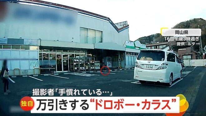 カラスが店頭のカップ麺をくわえて飛び立つ瞬間（16日午後3時過ぎ、岡山県のスーパーマーケット）①