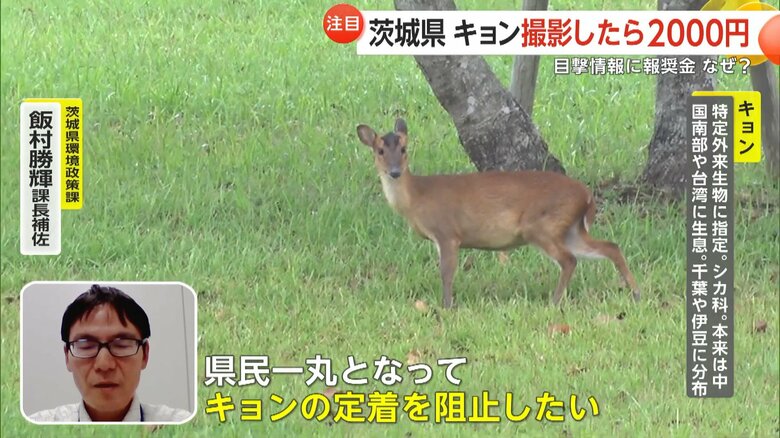 茨城県環境政策課・飯村勝輝課長補佐
