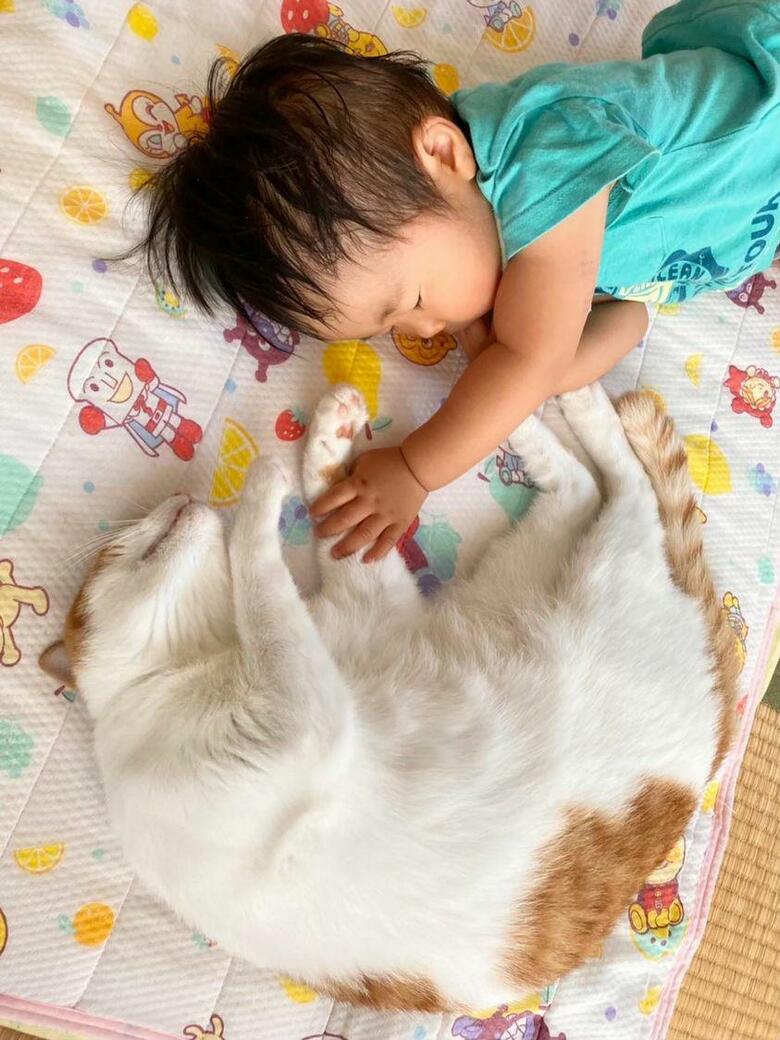 提供：Hassakuさん