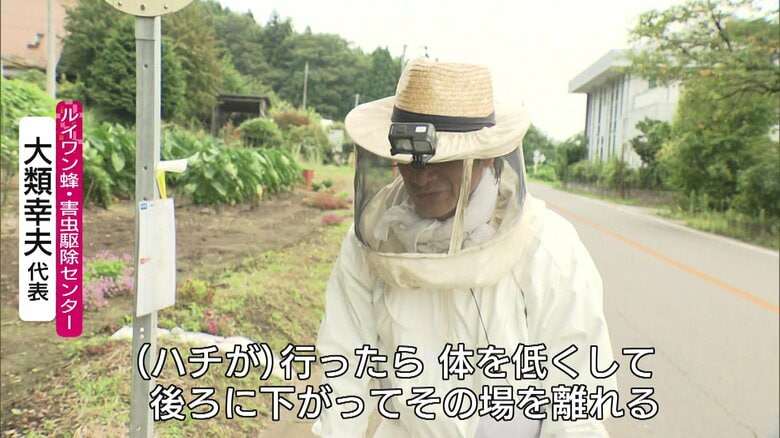 ルイワン蜂・害虫駆除センター 大類幸夫代表