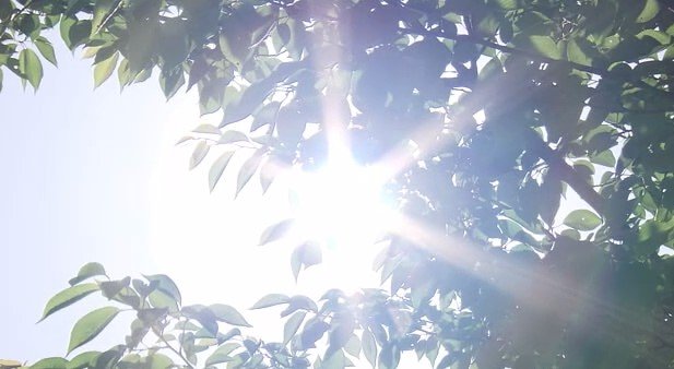 気象台の情報から身を守る行動に