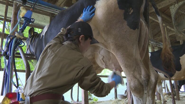 エサやりと搾乳は1日も欠かせない