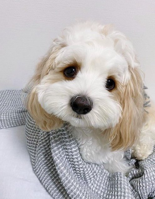 提供：宮原幸恵さん