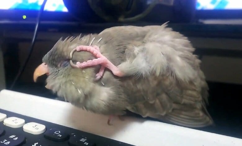 気持ちよさそう