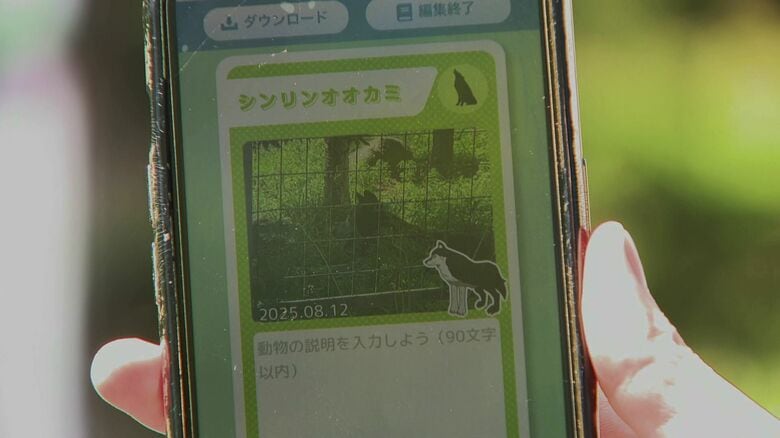 オリジナルのフレームに合わせ動物を撮影