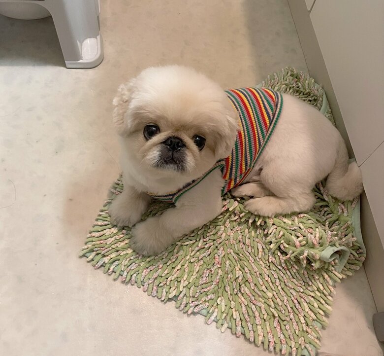 提供：てんてんの毎日さん